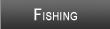 Lake Cumberland Fishing